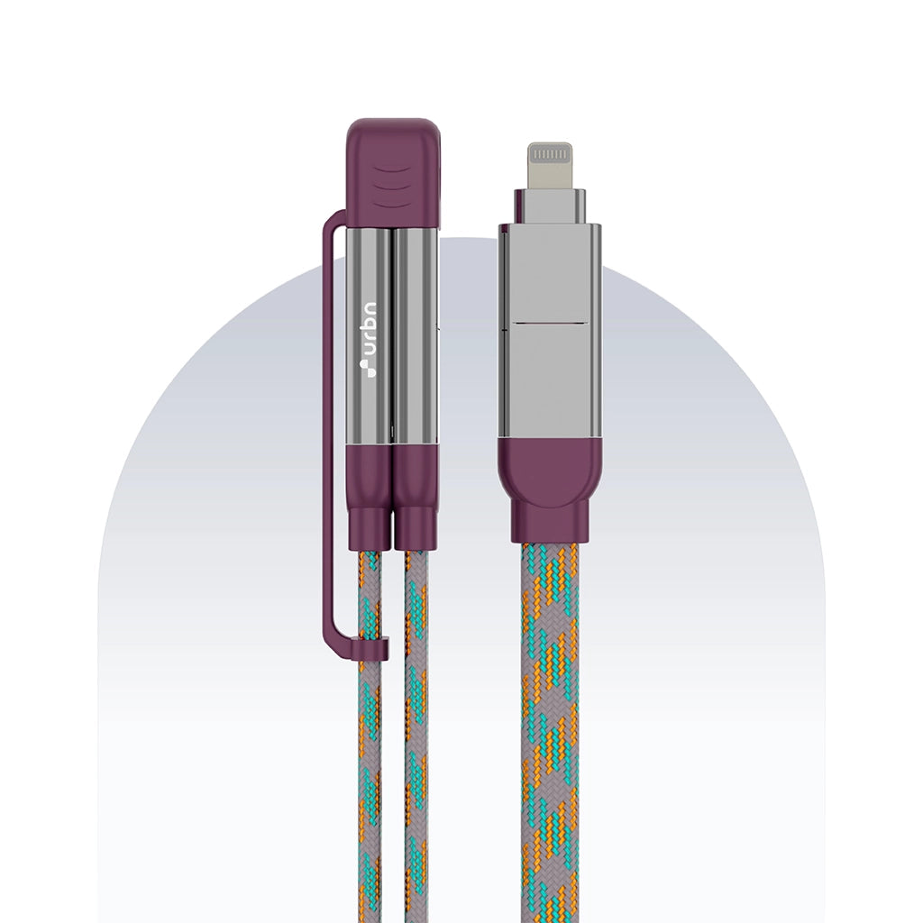 4 in 1 65W Payal Singhal Edition Cable 4 Ft